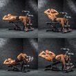 Banca ATX ® fitness multifunctionala, Scaun Roman 10