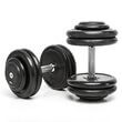 Set gantere compacte CHD, cauciucate, gradatie 2 kg 2