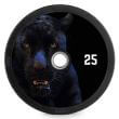 Disc Bumper de cauciuc solid personalizabil DYO, Ø 50 mm, 450 mm 3