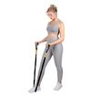 Extensor cu coarda elastica si manere pentru recuperare, protectie nylon, Premium Power Sleeve Tube 2