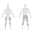 Echipament inteligent de antrenament de forță izocinetică, flexii si extensii picioare 1