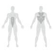 Echipament inteligent de antrenament de forță izocinetică, abdomen si spate 1