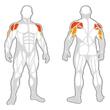 Aparat Fitness Drax Shoulder Press pentru umeri, prese, cu incarcare pe discuri