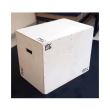 Cutie pliometrica PTC Sport, antrenament functional, 75 x 60 x 50 cm 1
