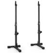 Cadru Half-Rack Genuflexiuni si impins la piept ATX®, suport haltera 3