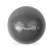 Mingi de greutate Align-Pilates Pro Soft Weights, pereche 3