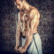 Maner triceps V pentru multifunctionale fitness