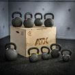 Original Russian Kettlebell, 8 - 48 kg, fonta, negru 4