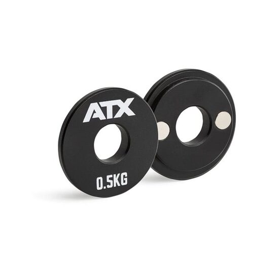 Disc fractionat magnetic ATX®, Ø 30 mm, 0.5 kg