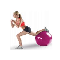 Minge gimnastica si reabilitare PTC Sport 65 cm 