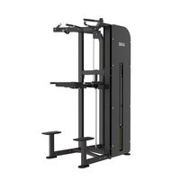 Aparat Multifunctional Drax Assist Chin/Dip pentru asistenta tractiuni si flotrai, stiva 75 kg